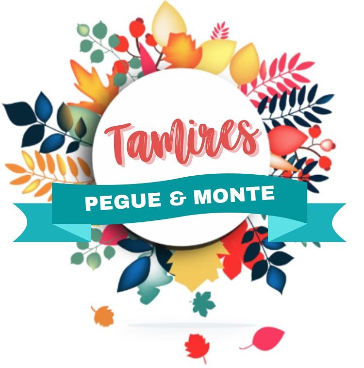 Logo de Tamires Pegue e Monte