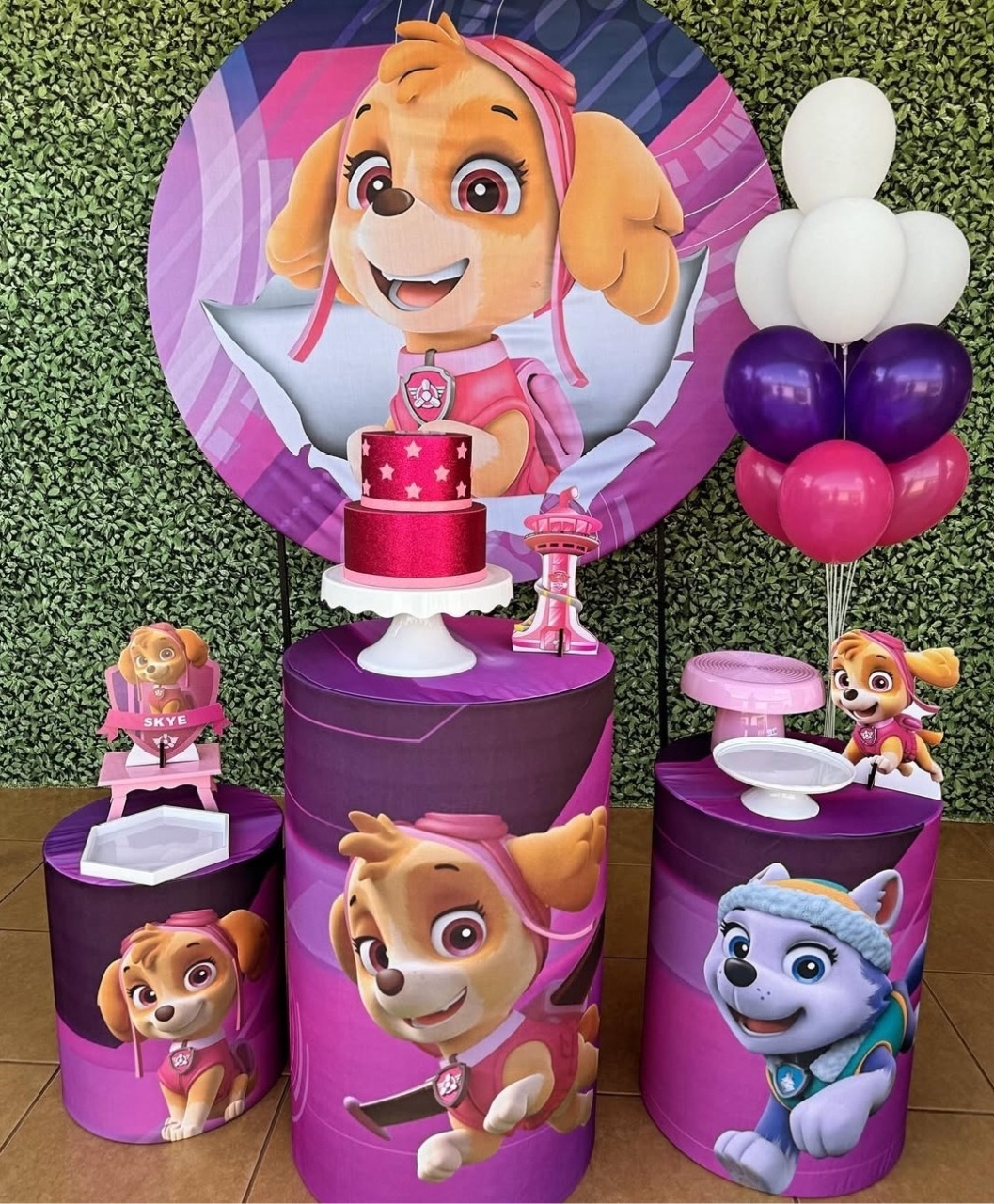 Patrulha Canina - Skye - Decorafestacm