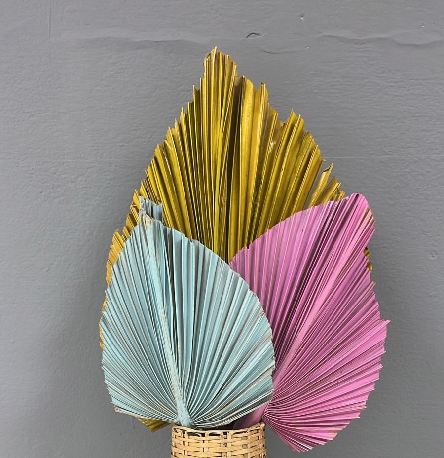 Flor de Chão - Folha de Latânia Colorida  - Festa e Arte Decorações
