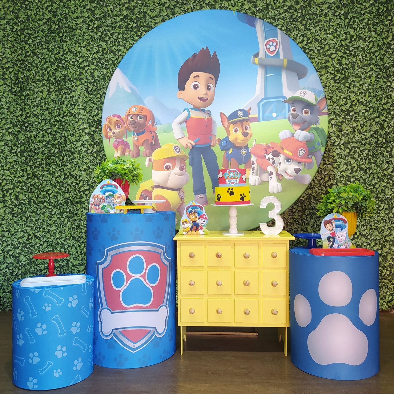 Kit Encanto - Patrulha Canina - Detalhes