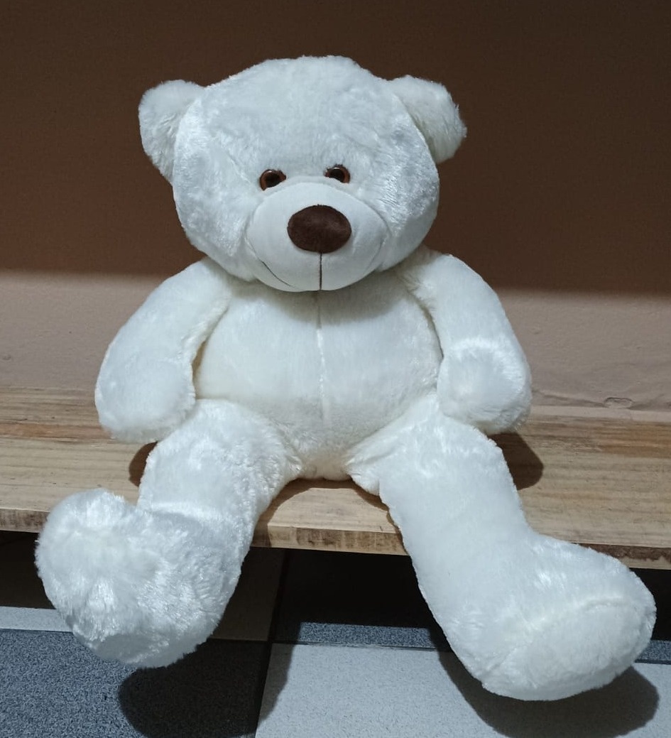 Urso Pelucia Medio - DFEST PEGUE E MONTE