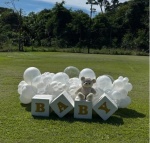 Kit Chá Revelação No Parque - imagem 2