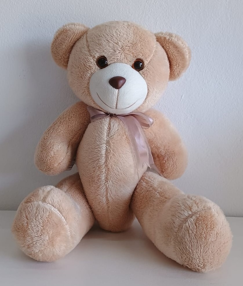 Ursinho Pelucia Bege Pequeno - DFEST PEGUE E MONTE