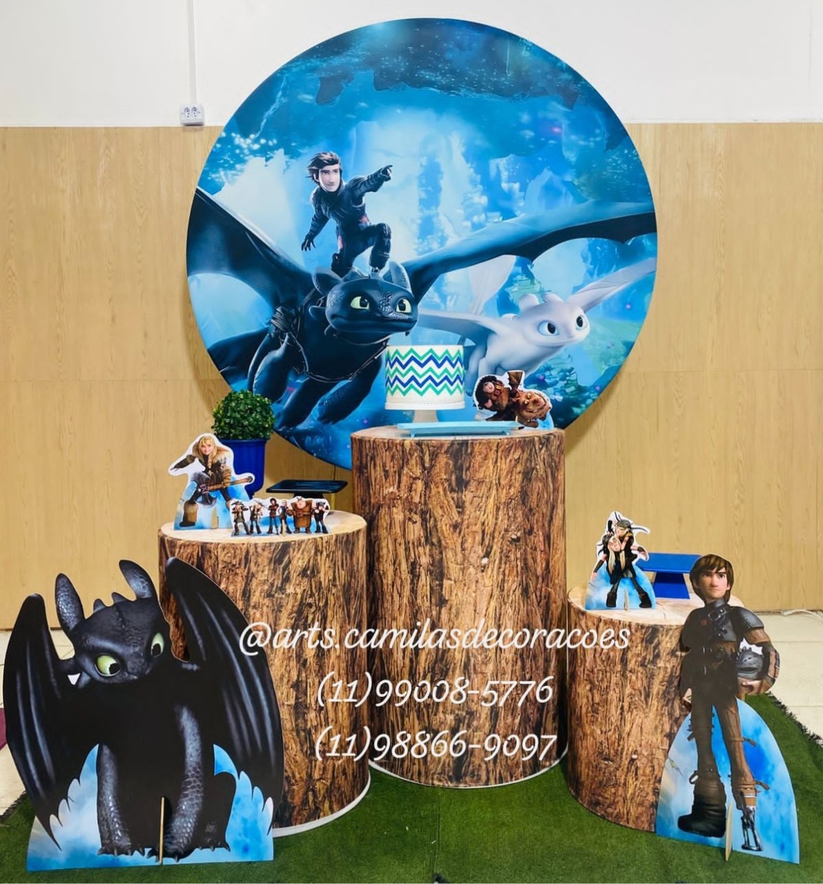 Como Treinar Seu Dragão  - Art's Camila's Decorações 