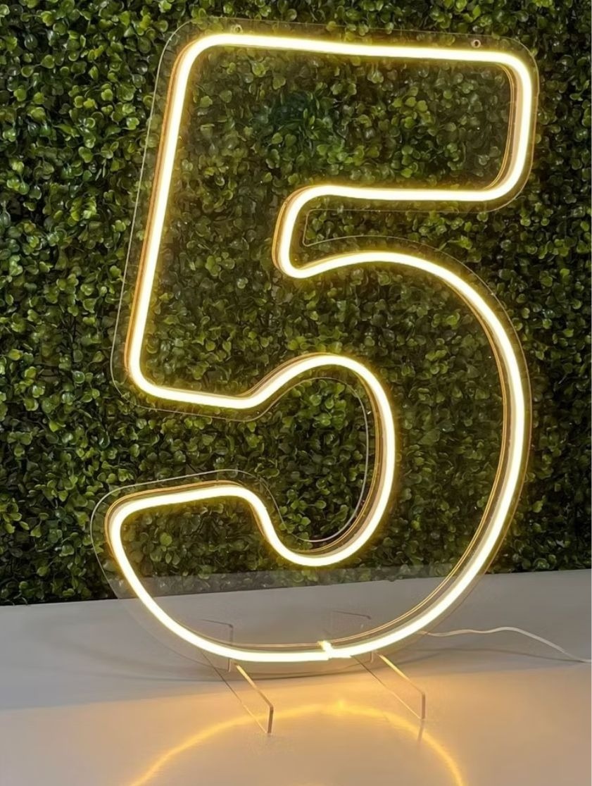 Placa de Led Número 5 - Pegue e monte Peixoto de Azevedo