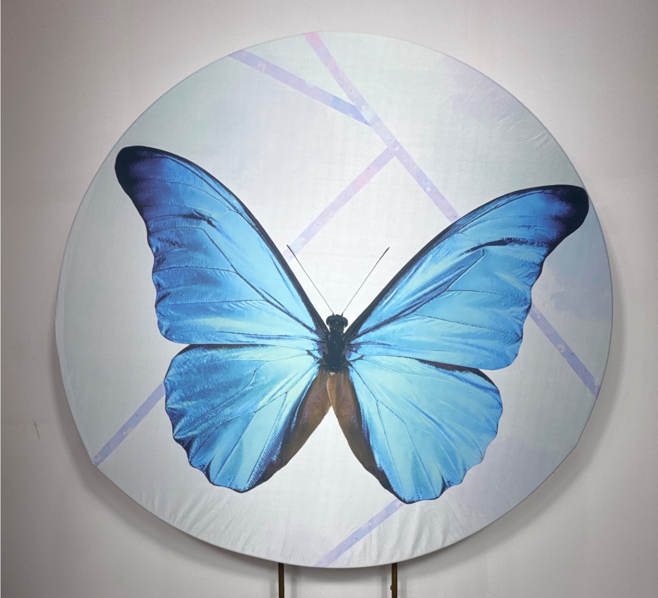 Painel Redondo - Borboleta Azul - Doces Festas Decorações e Pegue e Monte