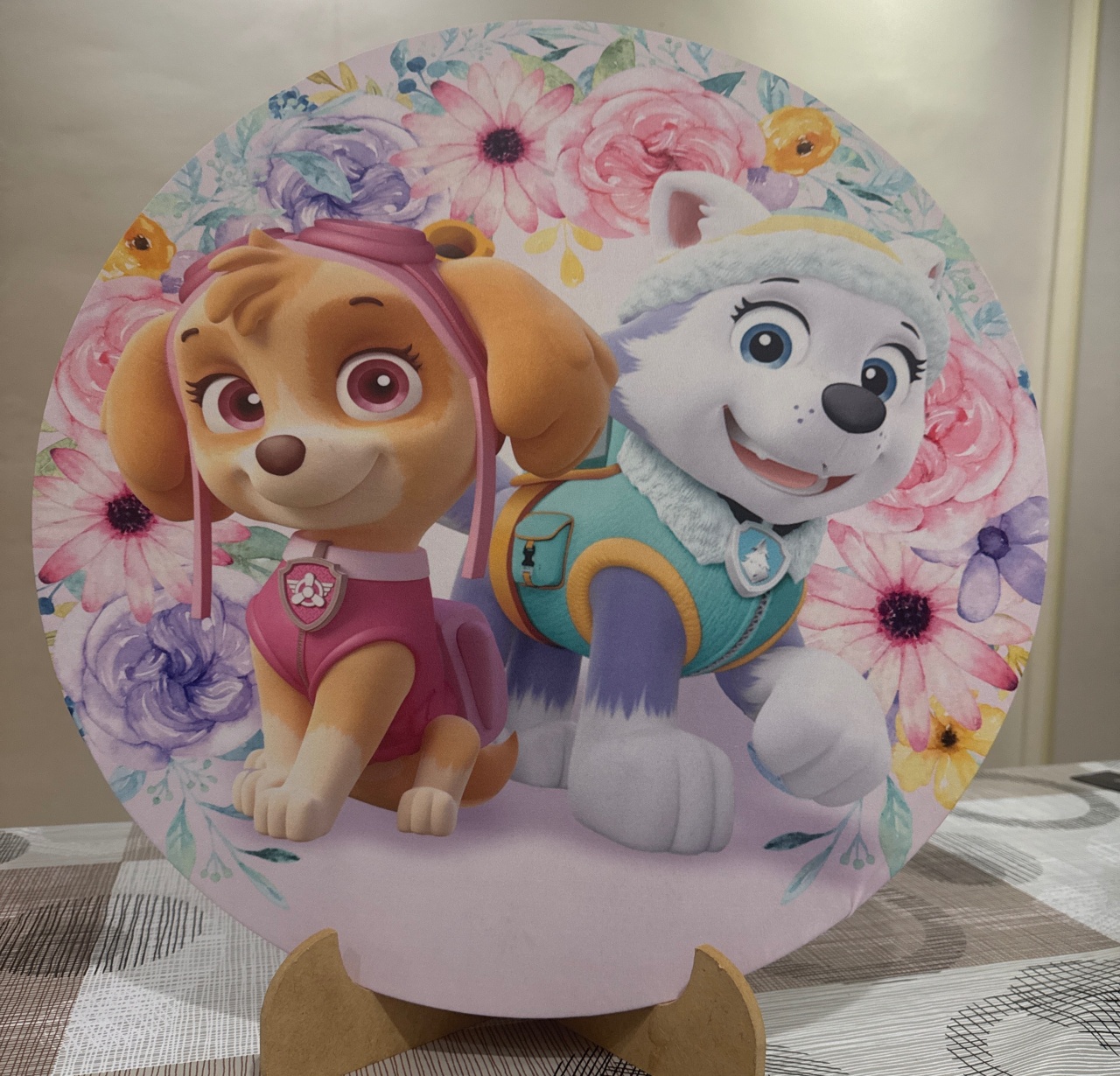 Mini Painel Patrulha Canina Menina - Doces Festas Decorações e Pegue e Monte