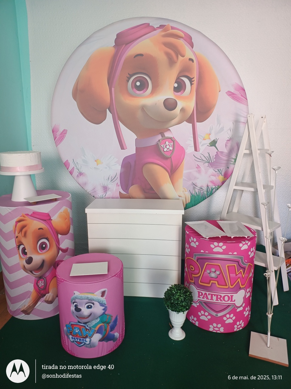 Skye Patrulha Canina  - Sonhodifestas 