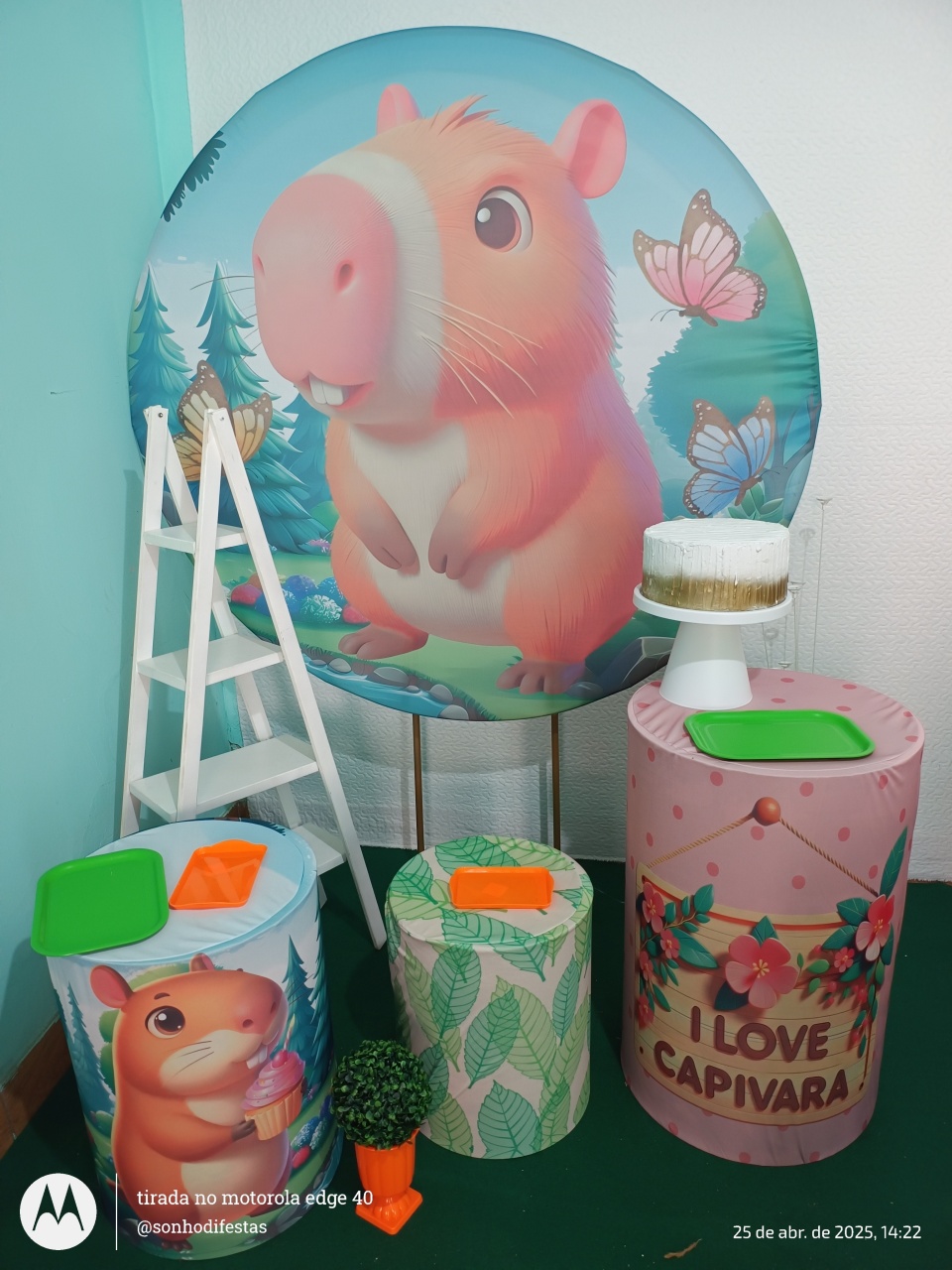 Capivara  - Sonhodifestas 