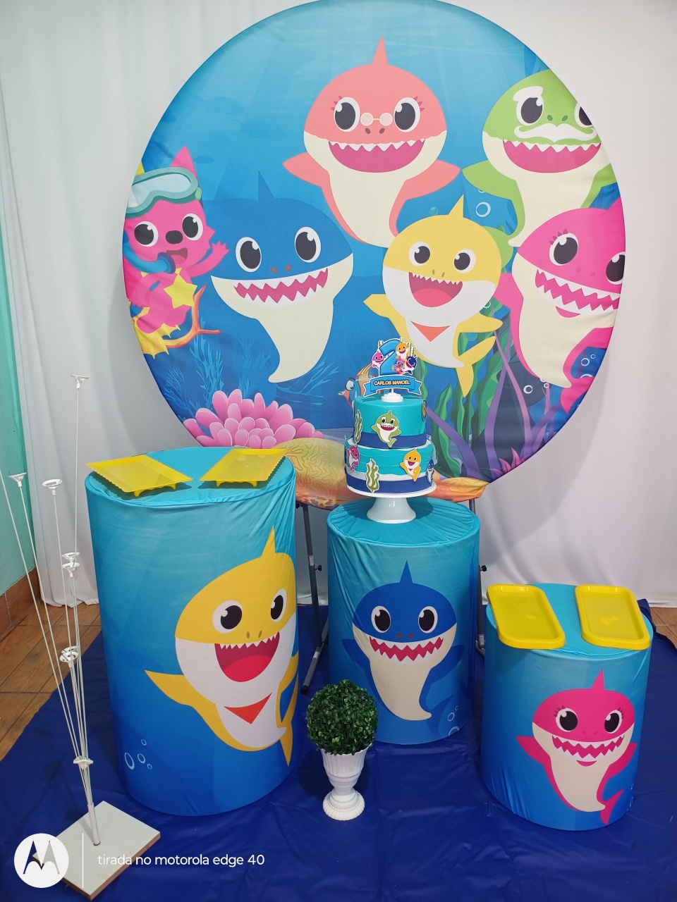 Kit Baby Shark - Sonhodifestas 