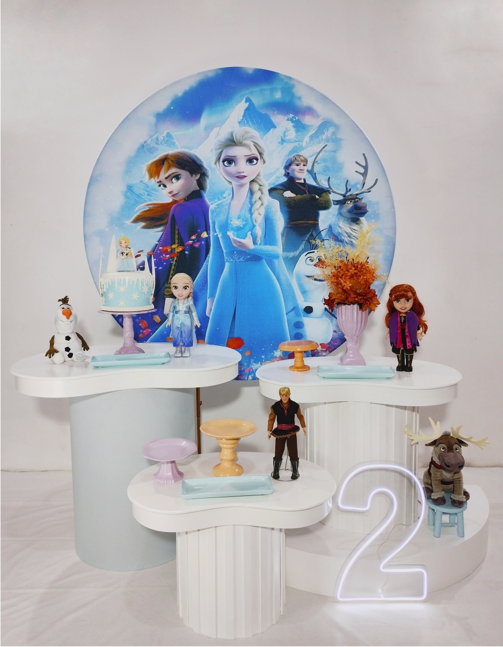 Kit Orgânico Ripado Frozen - Saroka Locacção