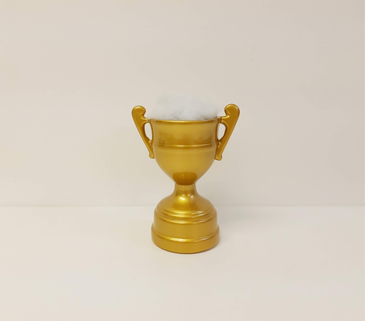 Troféu Taça (Futebol) - Saroka Locacção