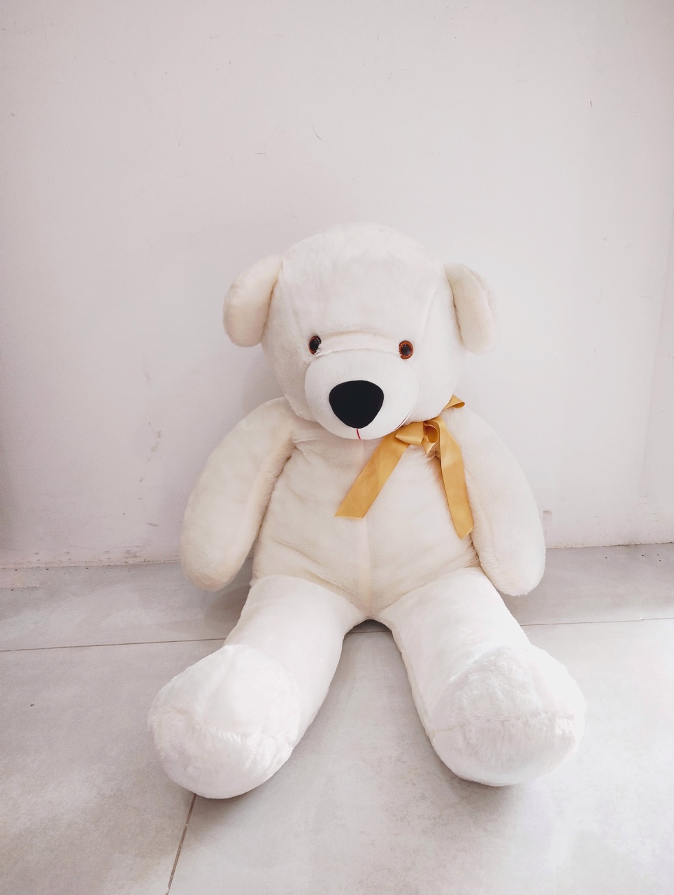 Urso Branco de Chão  - Saroka Locacção