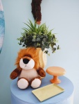 Kit Ouro Safari Baby  - imagem 3