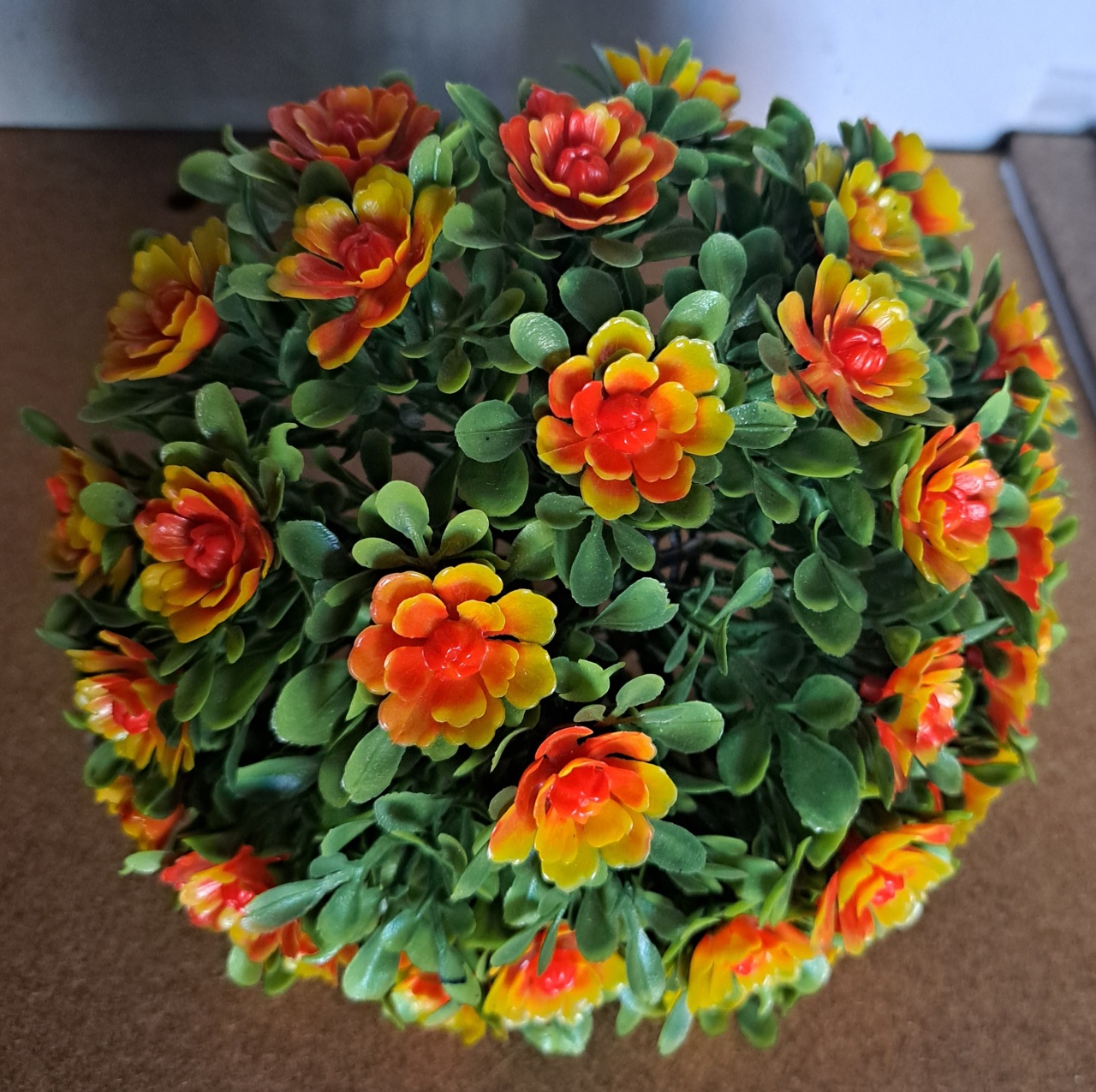 Buxinho Florido  - festafacil