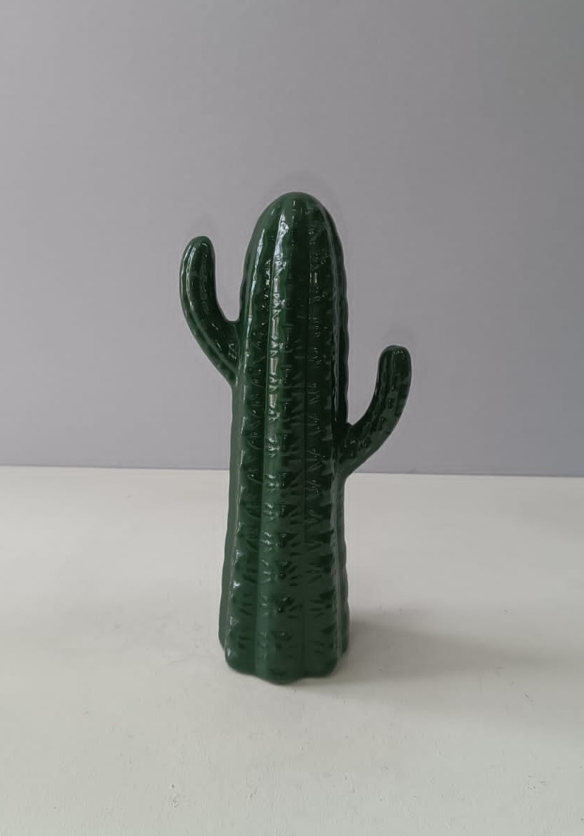 Cacto Cerâmica P - Mabelly Festas