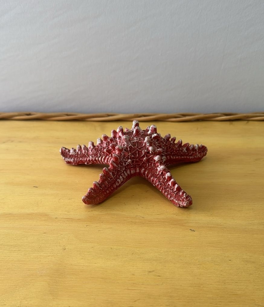 Estrela Do Mar Vermelha  - Mabelly Festas