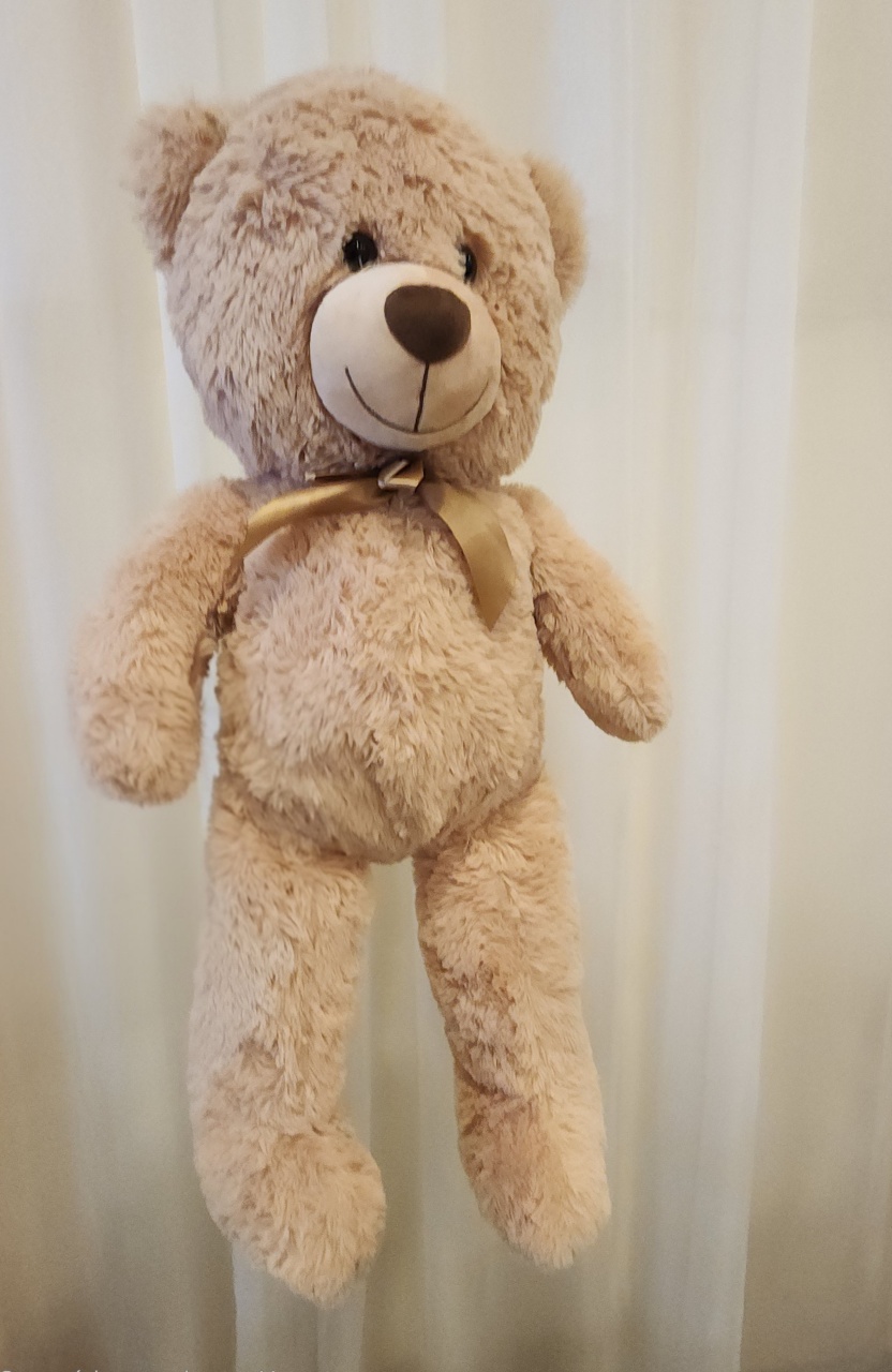 Urso de Pelúcia  - Mabelly Festas