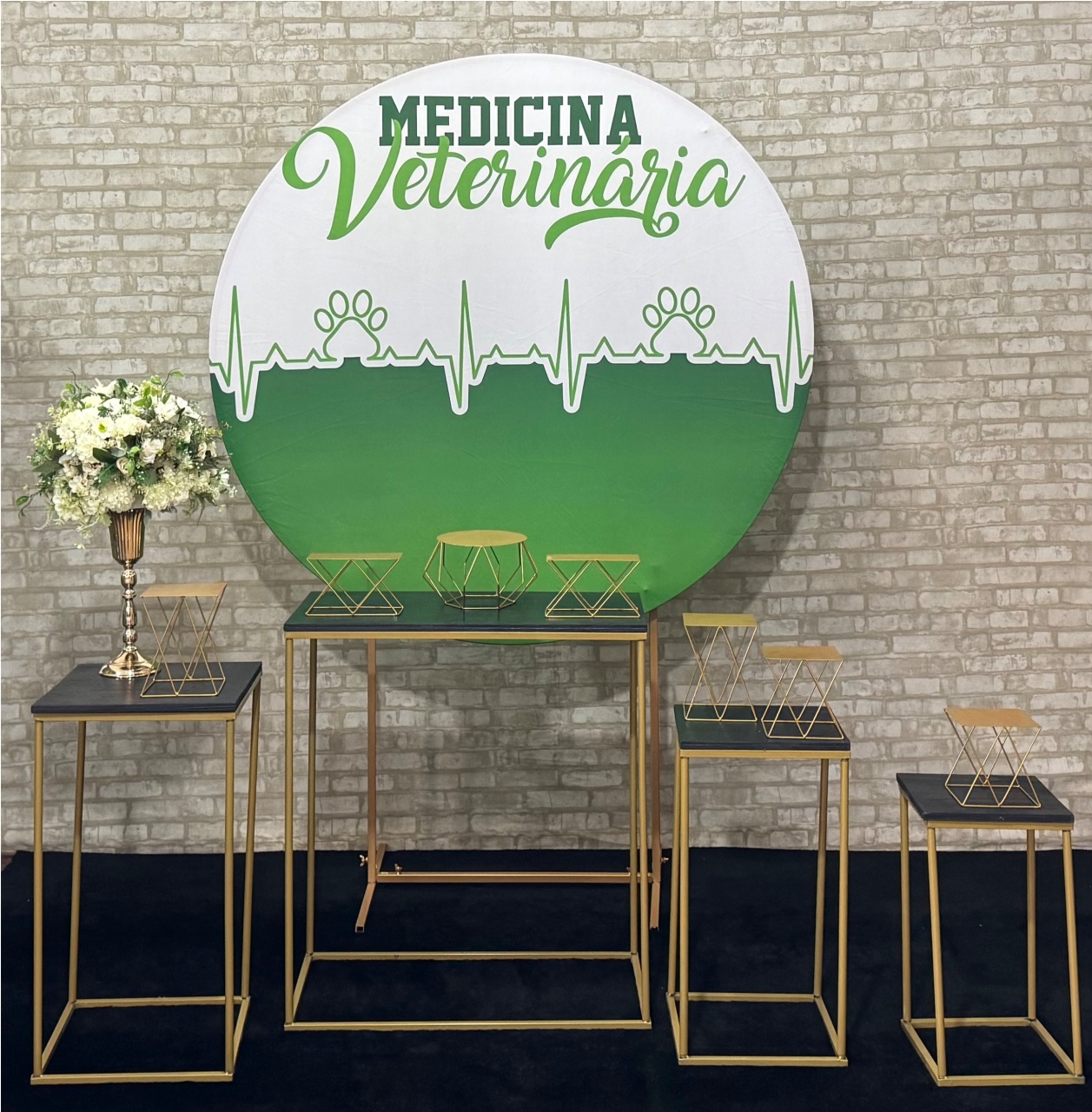 Formatura Medicina Veterinária - SofistiqueDecor