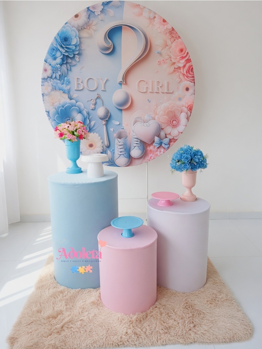 Boy Ou Girl - Adoleta Pegue e monte e brinquedos 
