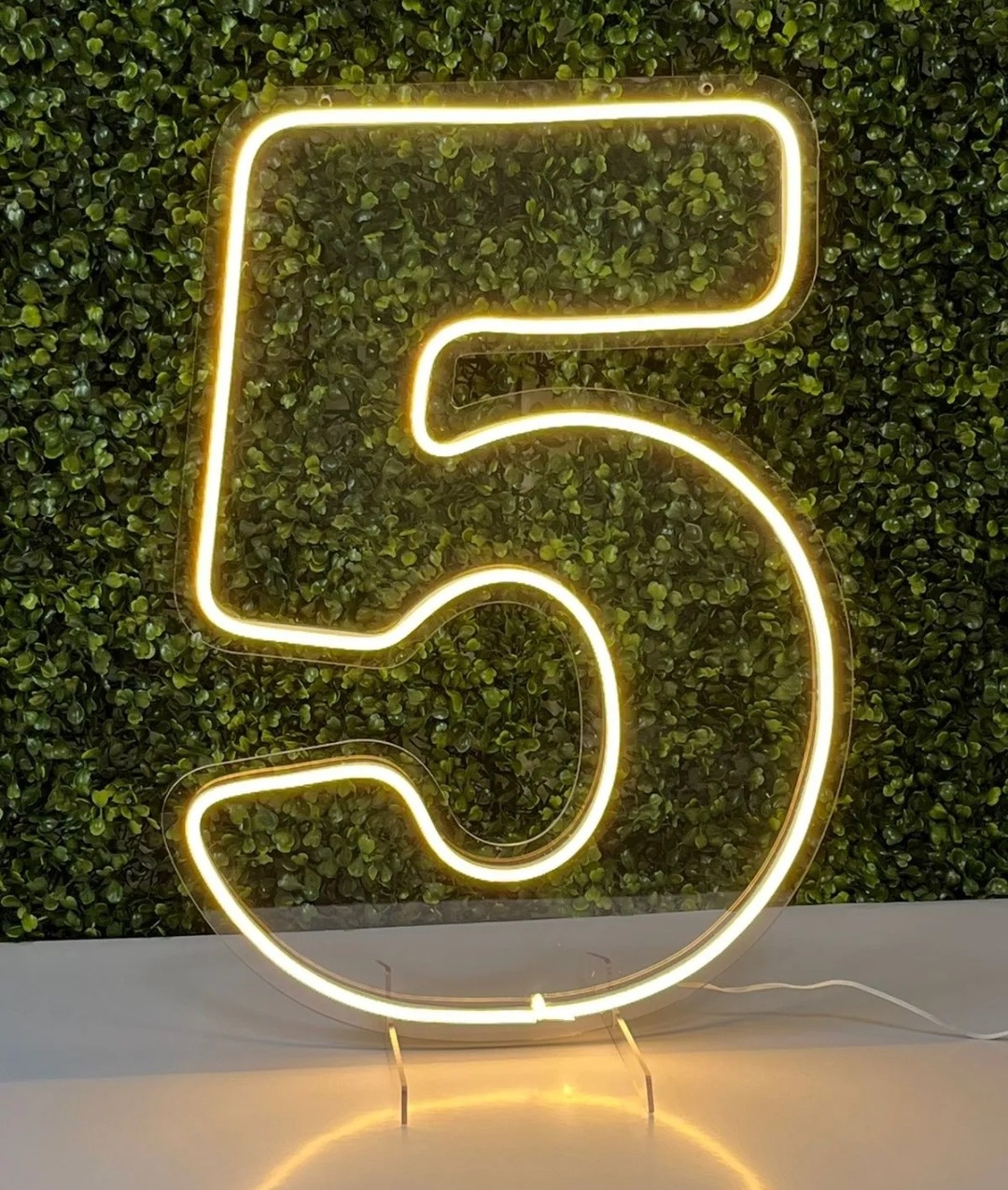 Número 5 Em Led -  Jenaina Decoração e Locação 