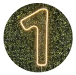 Número 1 Em Led - imagem 2