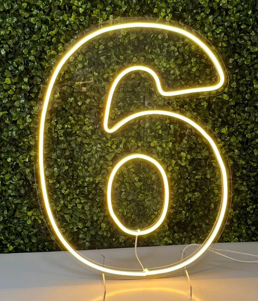 Número 6 Em Led -  Jenaina Decoração e Locação 