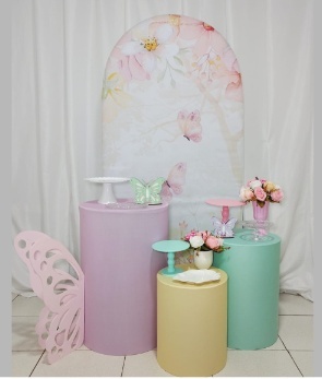 Borboletas  -  Jenaina Decoração e Locação 