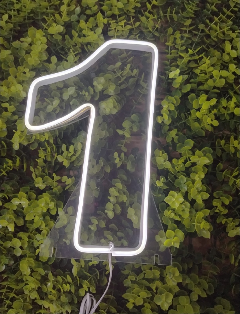 Número de Led 1 - 25Cm  - Léo Borges 