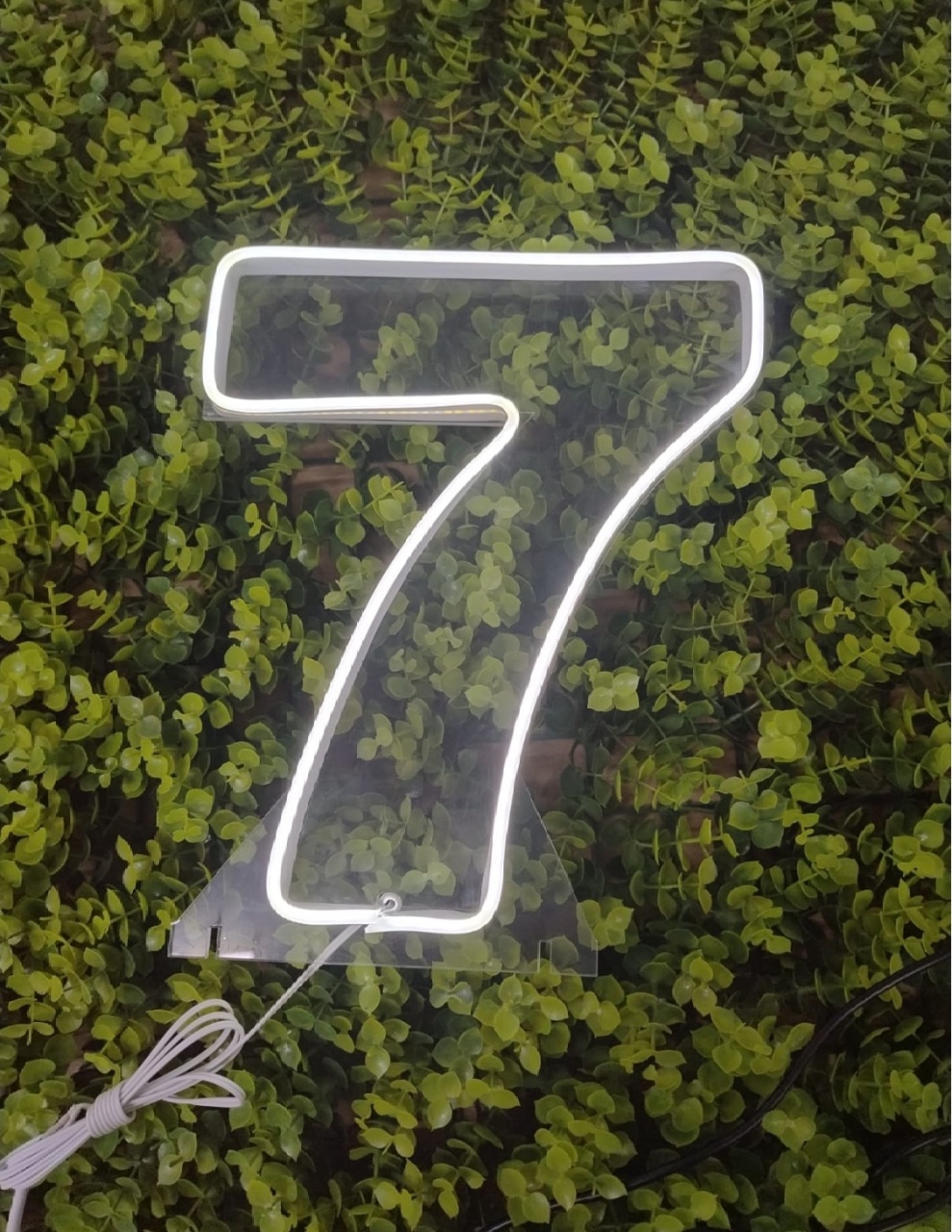Número de Led 7 - 25Cm  - Léo Borges 