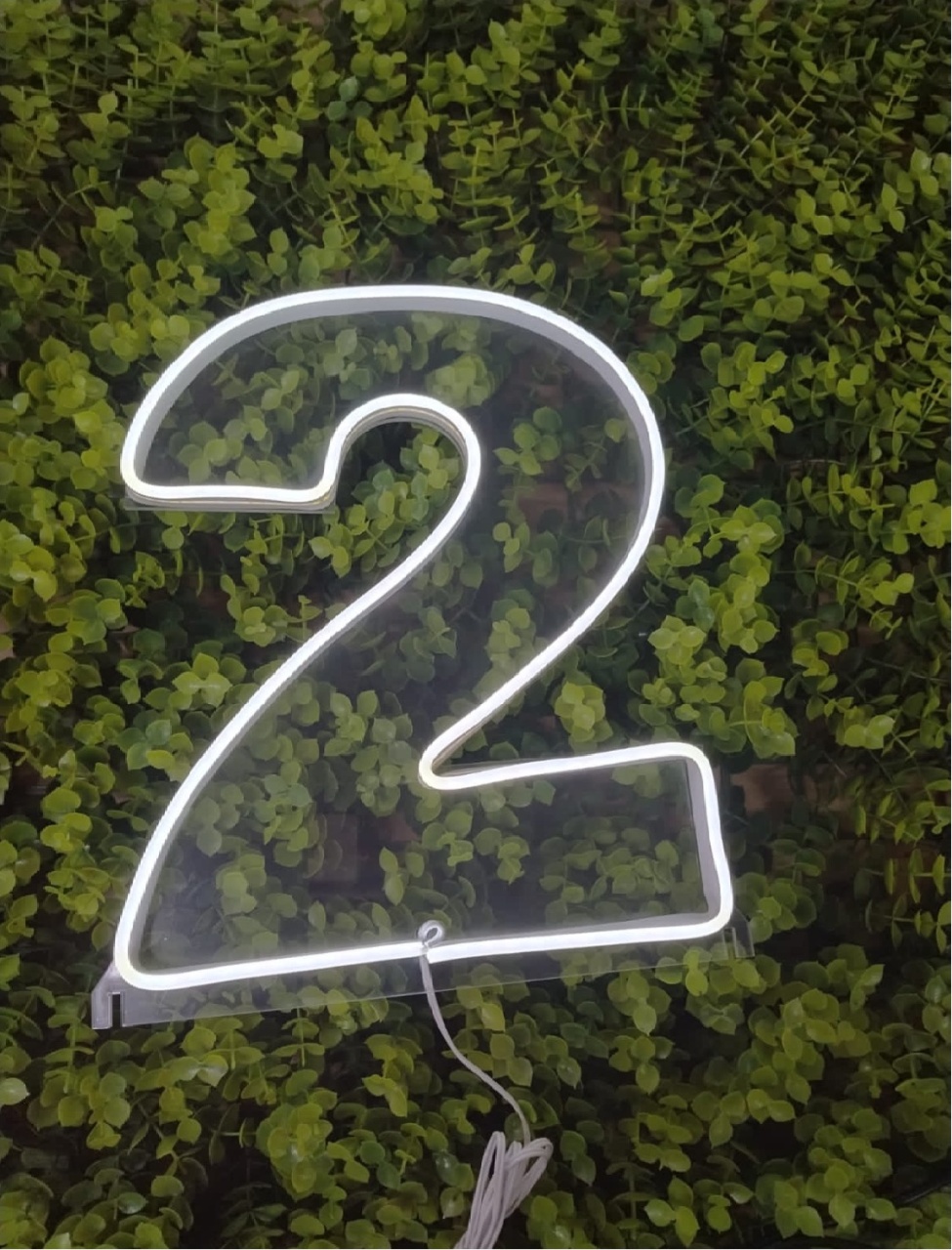 Número de Led 2 - 25Cm  - Léo Borges 