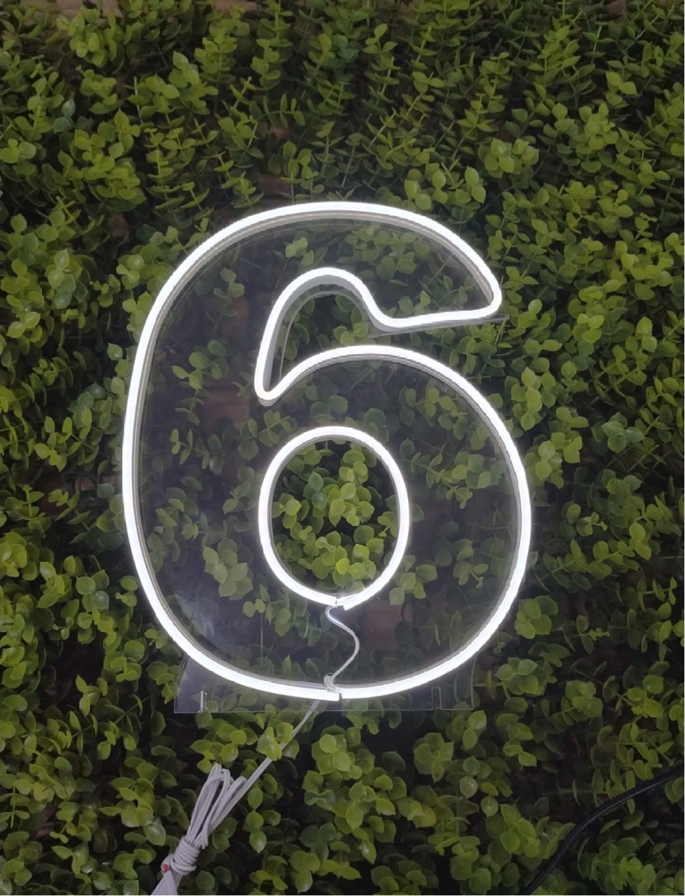 Número de Led 6 - 25Cm  - Léo Borges 