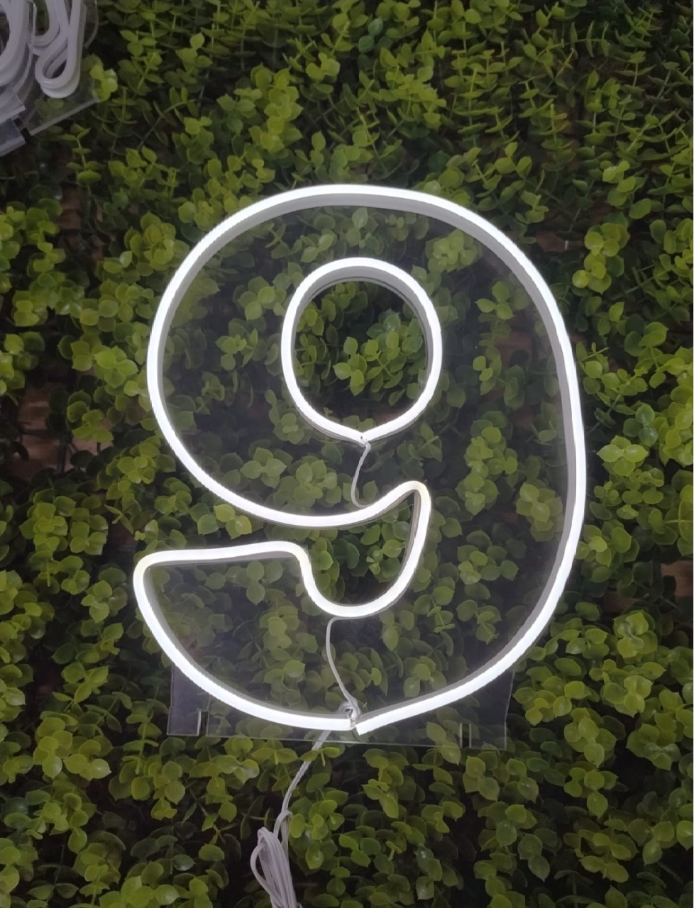 Número de Led 9 -  25Cm  - Léo Borges 