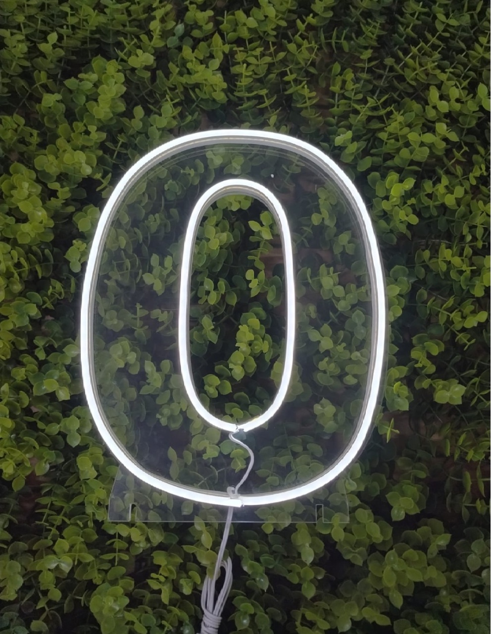 Número de Led 0 - 25Cm  - Léo Borges 