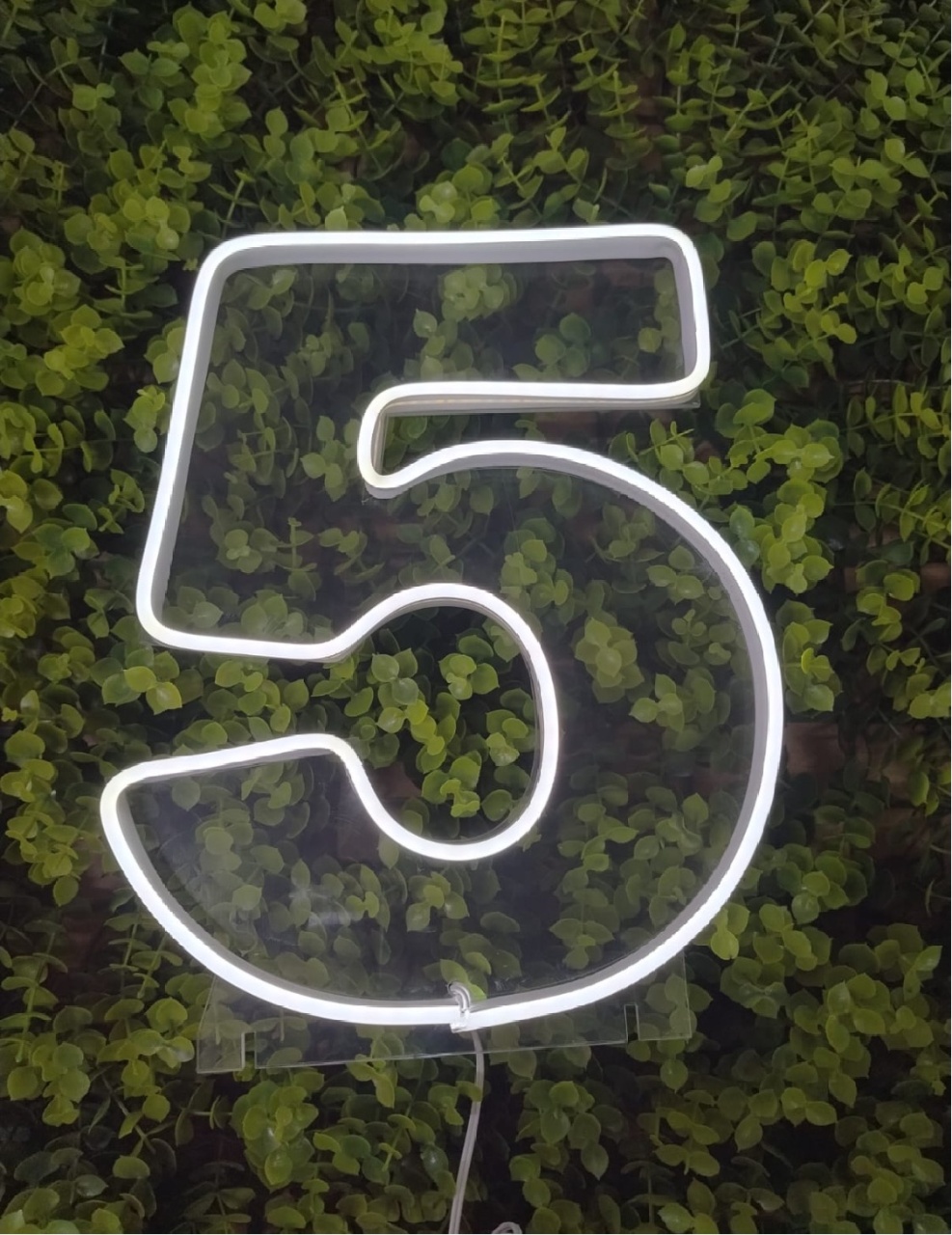 Número de Led 5 - 25Cm  - Léo Borges 