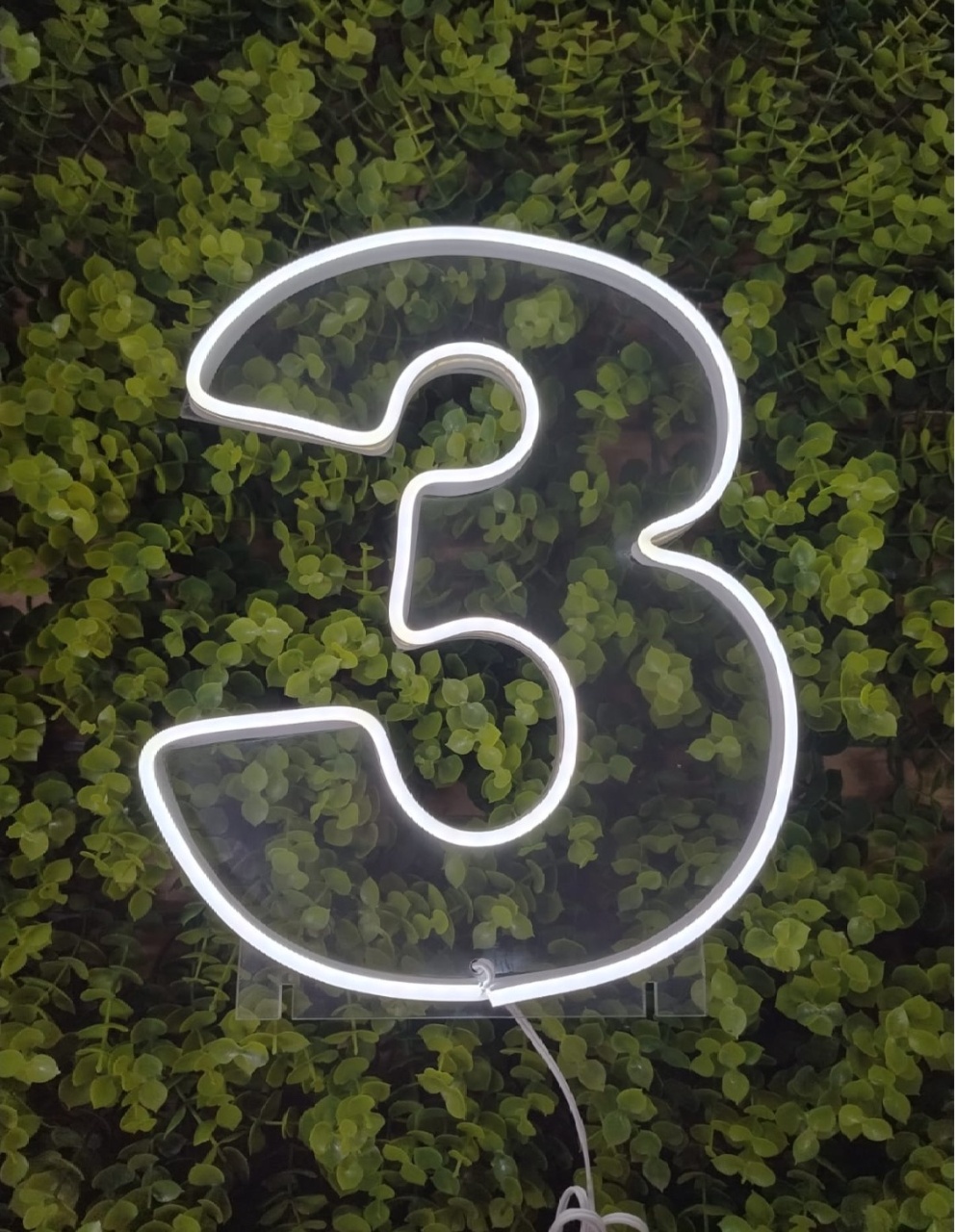 Número de Led 3 - 25Cm  - Léo Borges 
