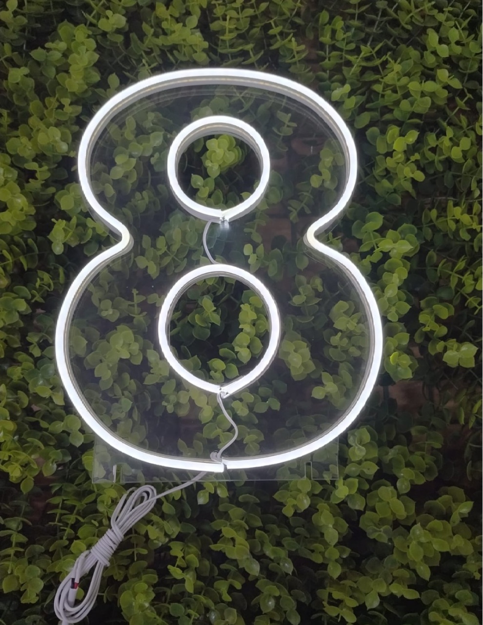 Número de Led 8 - 25Cm  - Léo Borges 