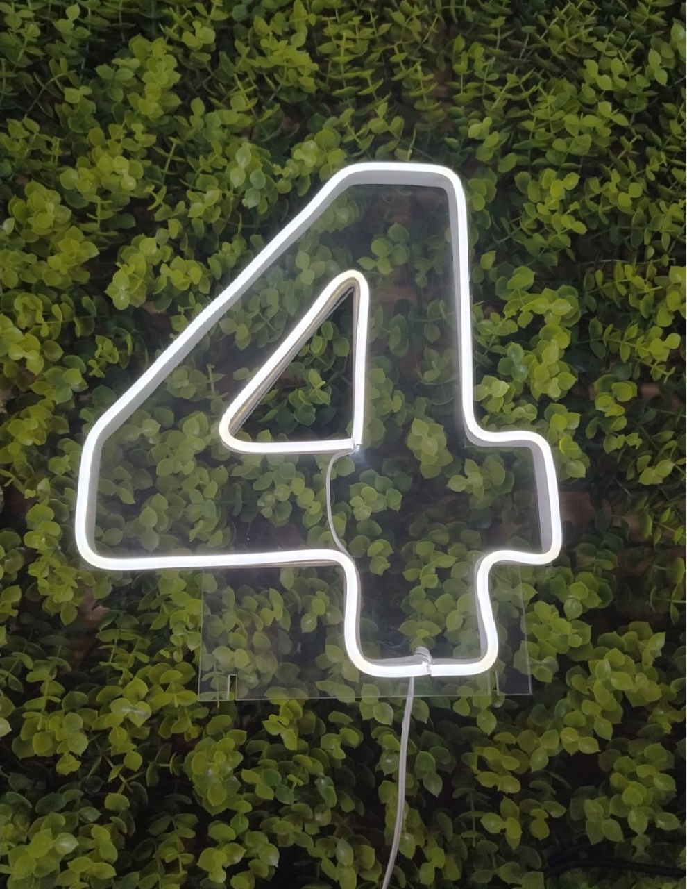 Número de Led 4 - 25Cm  - Léo Borges 