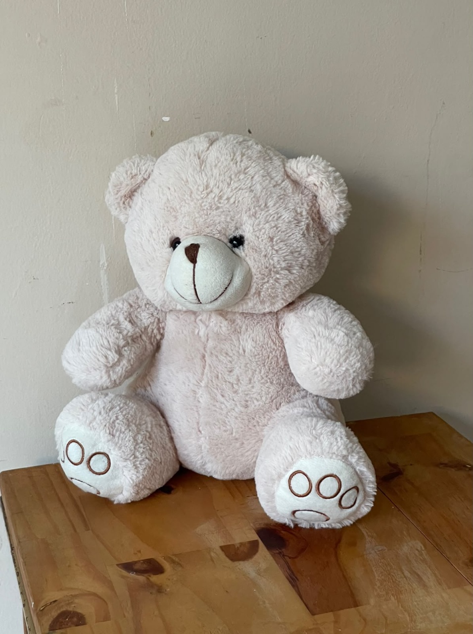 Urso P - Gê Locação 