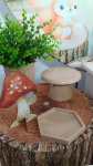 Bosque Ouro - imagem 5