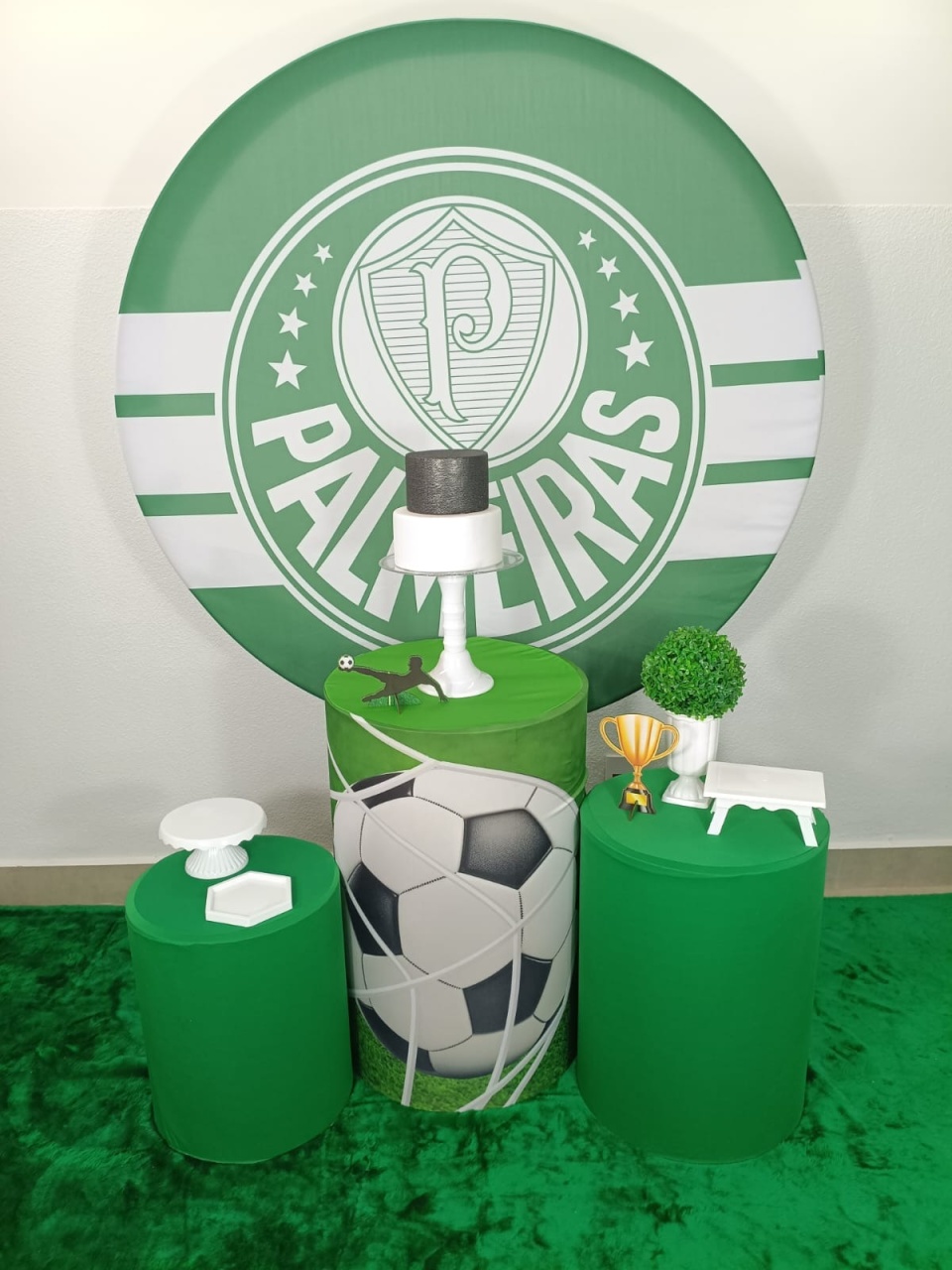 Palmeiras Bronze  - Animei Festa