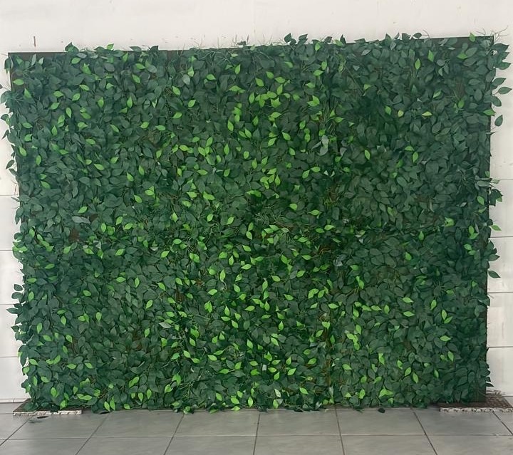 Muro Verde  - Girassolfestas