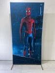 Home Aranha (Retangular)  - imagem 1