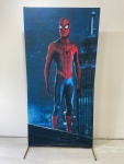 Home Aranha (Retangular)  - imagem 3