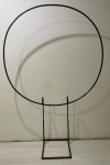 Ursos Sem Curso - imagem 5