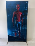 Home Aranha (Retangular)  - imagem 2