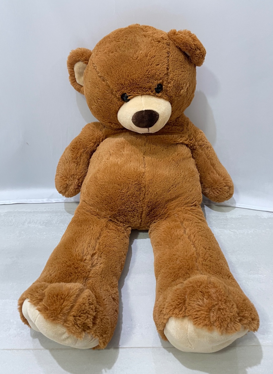 Urso Marrom  - Girassolfestas