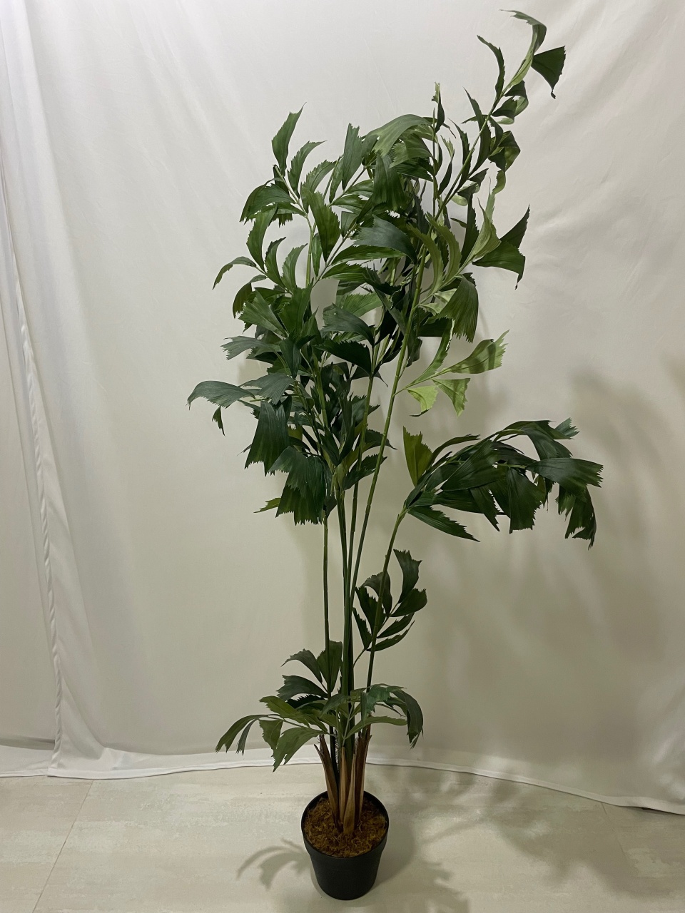 Folhagens Verde  - Girassolfestas