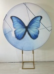 Borboleta Azul  - imagem 2