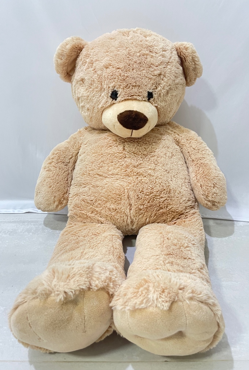 Urso Bege  - Girassolfestas